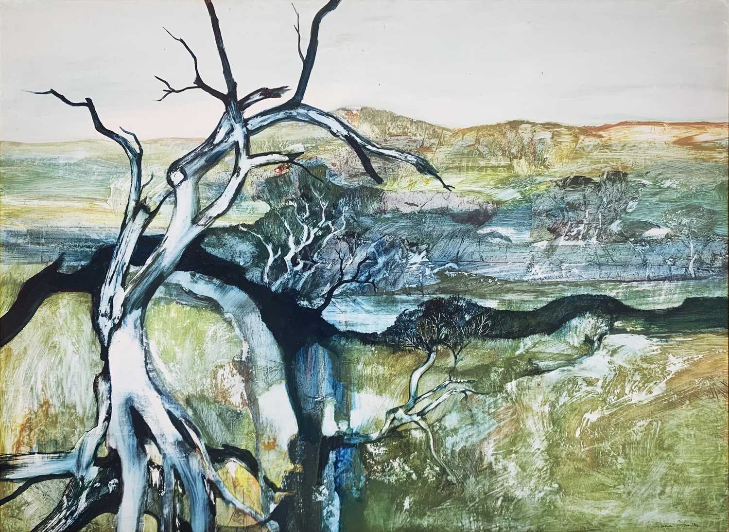 Lot 29 - Diana Johnston 1939-2015.