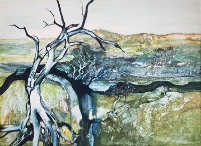 Lot 29 - Diana Johnston 1939-2015.