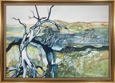 Lot 29 - Diana Johnston 1939-2015.