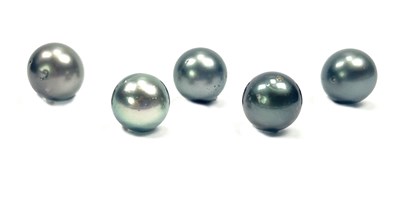 Lot 285 - Five Back Cultured Pearls.
