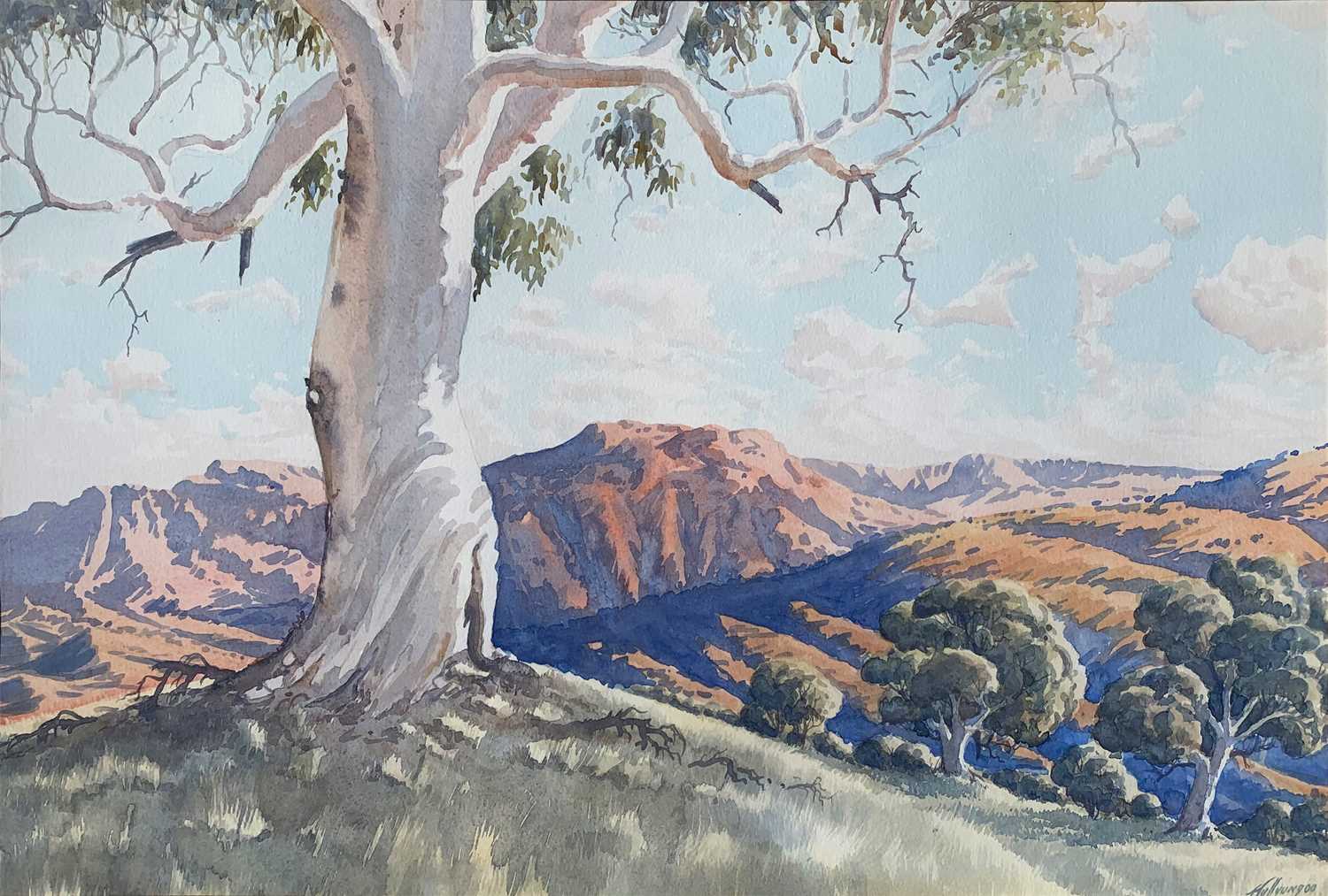 Lot 80 - Lance Chadd Tjyllyungoo b. 1954.