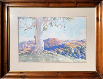 Lot 80 - Lance Chadd Tjyllyungoo b. 1954.