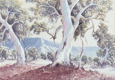 Lot 78 - Lance Chadd Tjyllyungoo b. 1954.