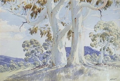 Lot 91 - Lance Chadd Tjyllyungoo b. 1954.