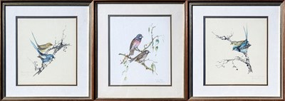 Lot 21 - 3x Bettie Jones Bird Illustrations.