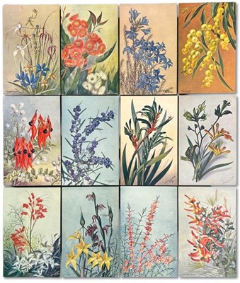 Lot 70 - The Bon Marche Stores Wildflower Postcard Series, 20th Century.