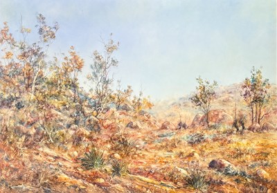 Lot 22 - Chris Meinema b. 1955.