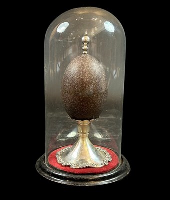 Lot 197 - Colonial Australian Emu Egg on Sterling Silver Stand.