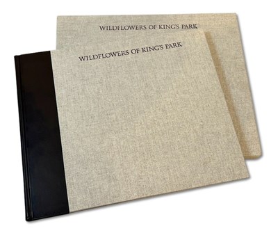 Lot 132 - Dixon, Kingsley, Wildflowers of Kings Park