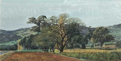 Lot 43 - Phillip Henry Cook b.1948.