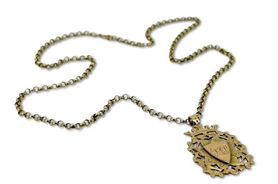 Lot 379 - 9ct Pendant & Chain.