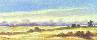 Lot 17 - Dan Mazzotti 1925-2008.