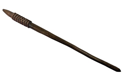 Lot 4 - Queensland Pineapple Headed Club.