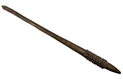 Lot 4 - Queensland Pineapple Headed Club.