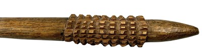Lot 4 - Queensland Pineapple Headed Club.