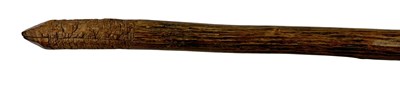 Lot 4 - Queensland Pineapple Headed Club.