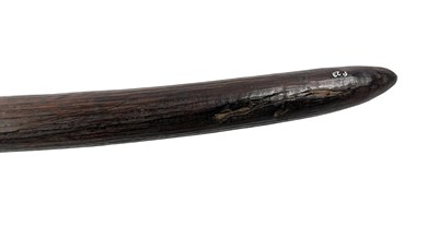 Lot 35 - 19th C. West Aust Fluted Aboriginal club.