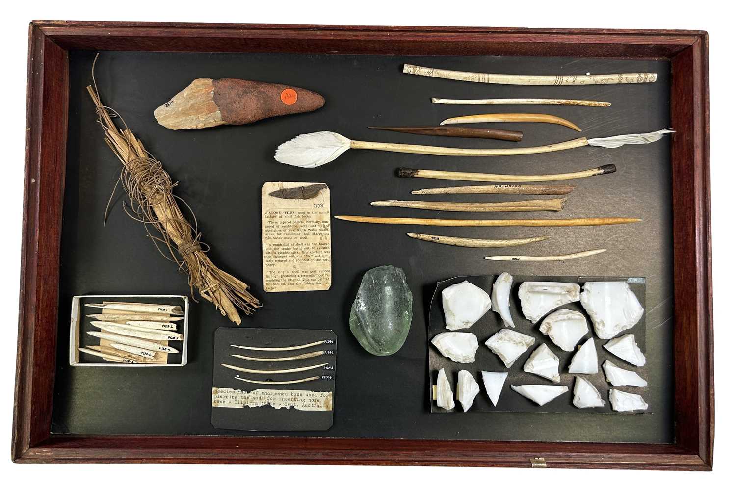 Lot 124 - Glass Case with Nose Bones.