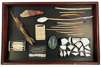Lot 124 - Glass Case with Nose Bones.