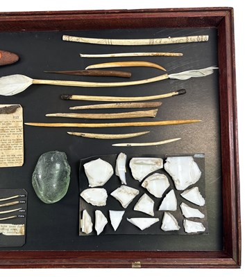 Lot 124 - Glass Case with Nose Bones.