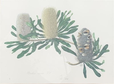 Lot 59 - Celia Rosser b.1930.