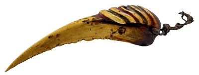 Lot 124 - Papua New Guinea Blyth Hornbill Beak Breast Ornament.