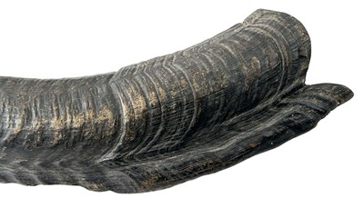 Lot 126 - Philippines? Trumpet Horn.